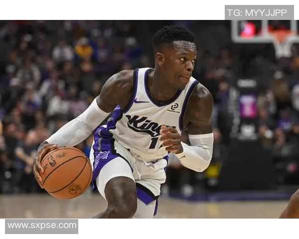 丹尼斯施罗德在NBA的崛起与挑战：从新秀到球队核心的奋斗历程