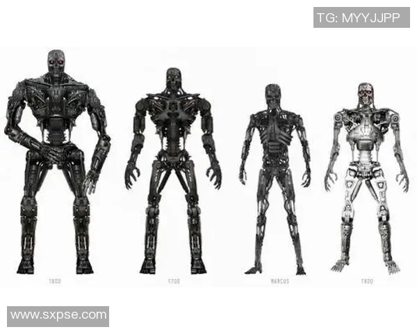 独家解析V5战队实力对比与未来发展潜力分析