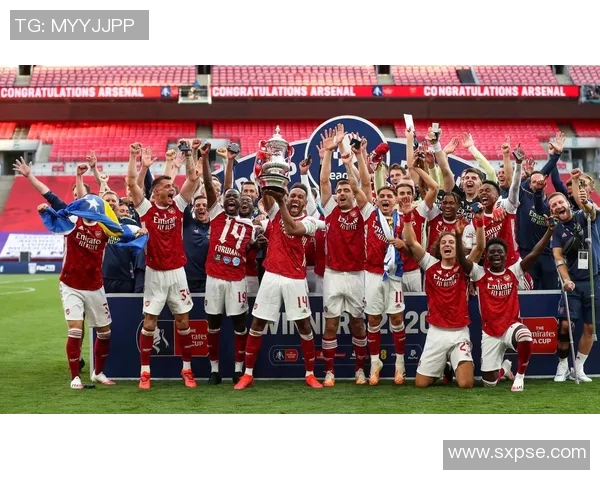 维岗与布伦特2019年对决分析及其对市场的影响探讨