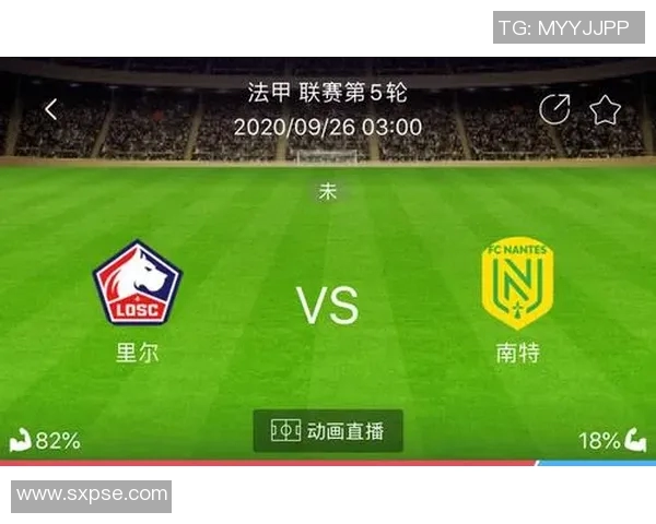 里尔与南特比赛数据分析揭示双方实力对比与战术特点