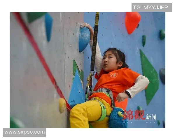 武汉攀岩队与南京攀岩队赛后复盘团队协作的成功与不足分析